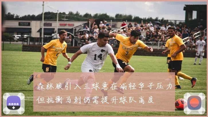 森林狼引入三球意在减轻华子压力但抗衡马刺仍需提升球队高度