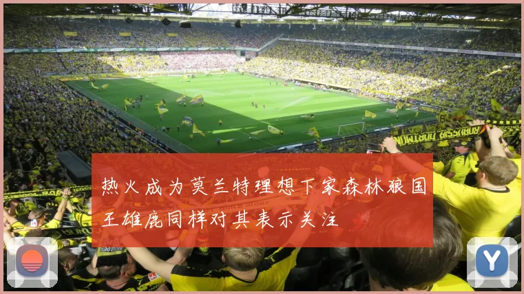 热火成为莫兰特理想下家森林狼国王雄鹿同样对其表示关注